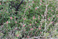 DSCN1376_resize