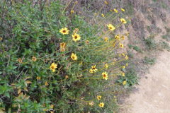 DSCN1377_resize