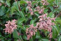 DSCN1379_resize