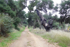 DSCN1383_resize