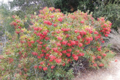 DSCN1386_resize
