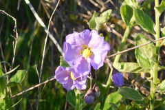 DSCN1787_resize