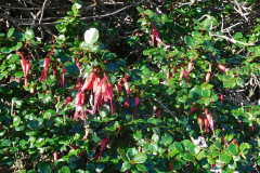 DSCN1793_resize