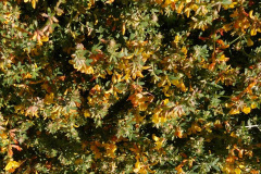 DSCN1801_resize