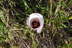DSCN1803_resize