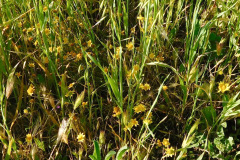 DSCN1812_resize
