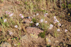 DSCN1815_resize