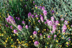 DSCN1817_resize