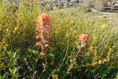 DSCN1835_resize