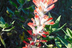 DSCN1841_resize