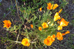 DSCN1852_resize