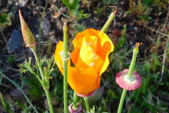 DSCN1854_resize