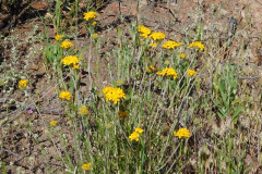 DSCN1859_resize