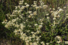 DSCN1861_resize