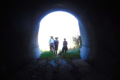 DSCN1869.1_resize