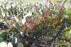 DSCN1876.1_resize