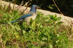 DSCN1521_resize
