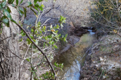 DSCN1528_resize