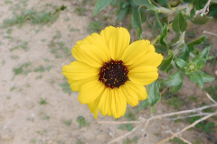 DSCN1535_resize