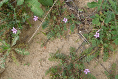 DSCN1536_resize