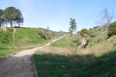 DSCN1542_resize