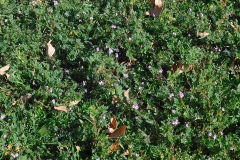 DSCN1544_resize