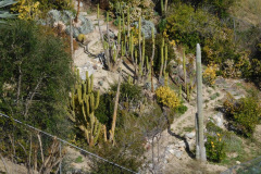 DSCN1545_resize