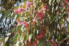 DSCN1547_resize