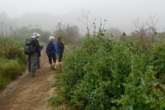 DSCN1685_resize