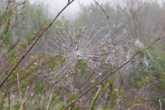 DSCN1686_resize