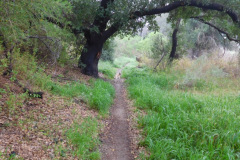 DSCN1688_resize