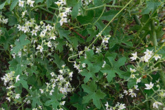 DSCN1703_resize