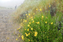 DSCN1707_resize