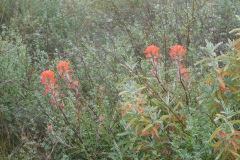 DSCN1715_resize