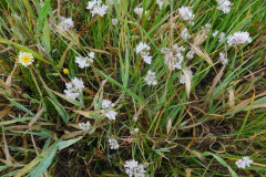 DSCN1720_resize