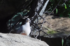 DSCN2114_resize