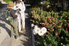 DSCN2116_resize