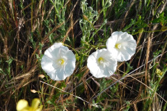 DSCN2125_resize