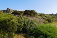DSCN2126_resize