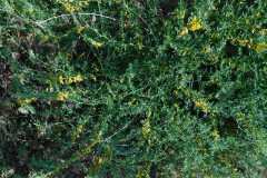 DSCN2129_resize