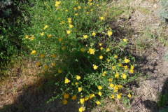 DSCN2132_resize