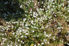 DSCN2133_resize