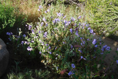 DSCN2134_resize