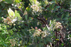 DSCN2137_resize