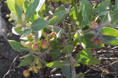 DSCN2138_resize