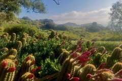 image0_resize