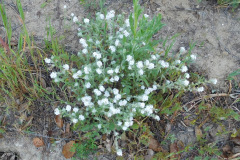 DSCN1755_resize