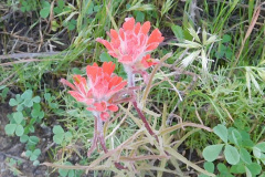DSCN1763_resize