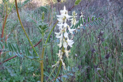 DSCN1766_resize
