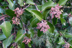 DSCN1768_resize